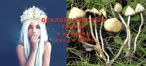 бутират Баксан